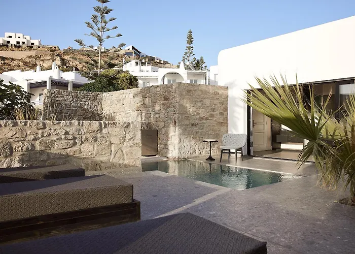 Hotel Amazon Mykonos Resort And Spa Agios Ioannis Diakoftis